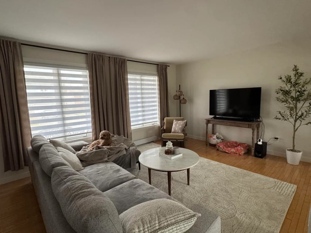 Original Living Room photo before the Transitional redesign