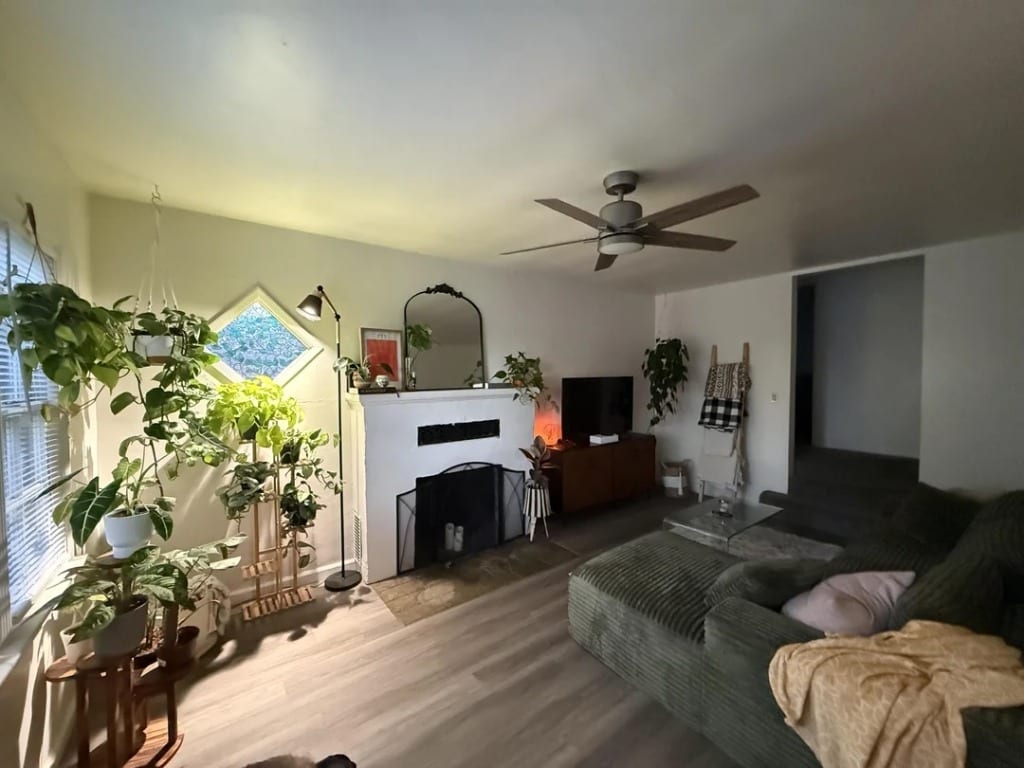 Original Living Room photo before the Modern redesign