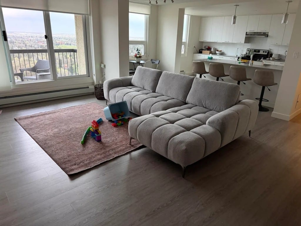 Original Living Room photo before the Modern redesign