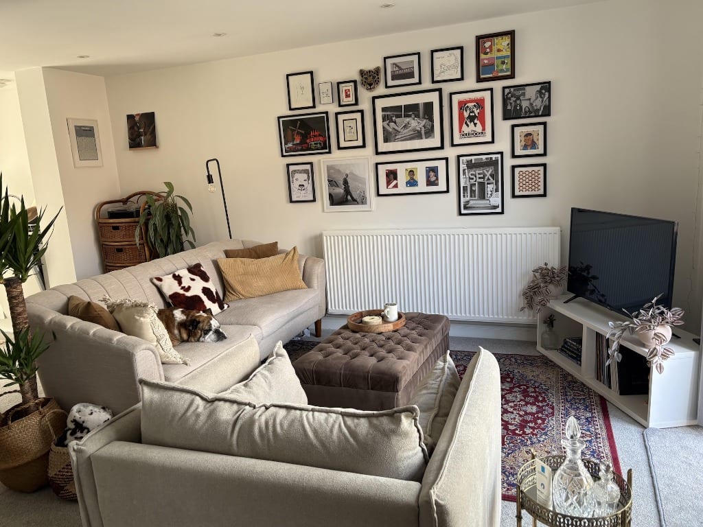 Original Living Room photo before the Eclectic redesign