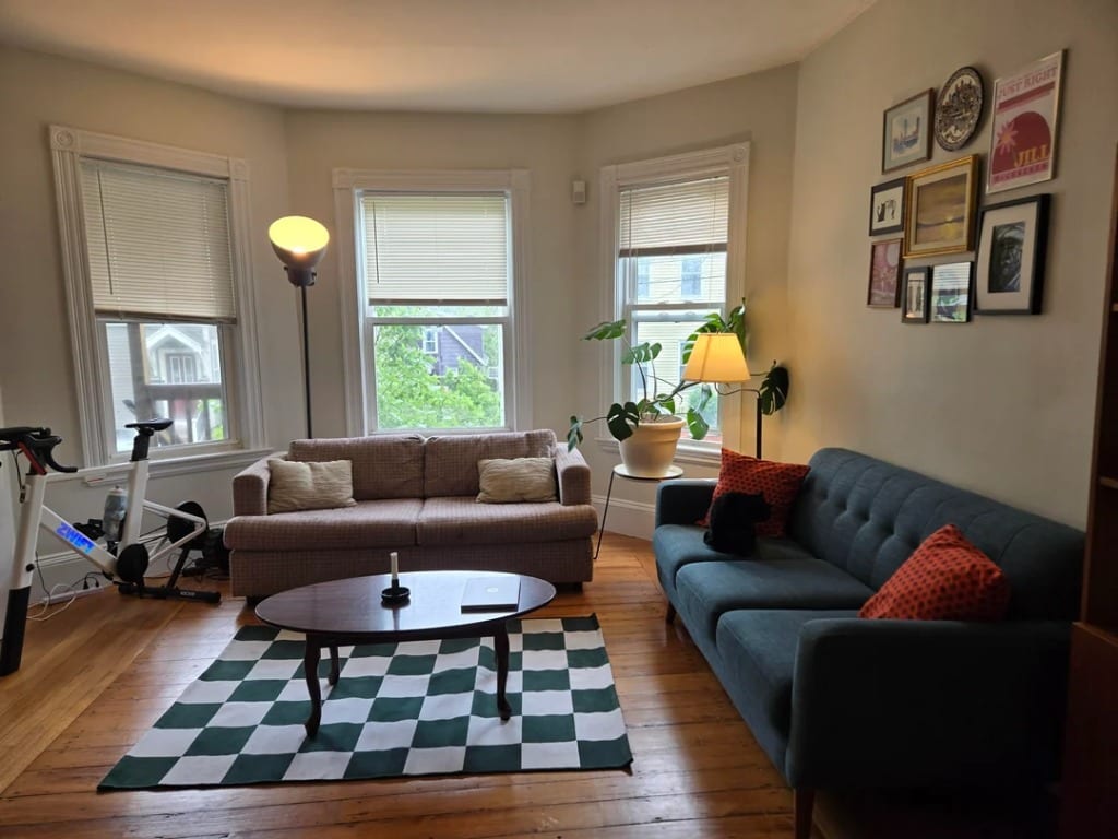 Original Living Room photo before the Eclectic redesign
