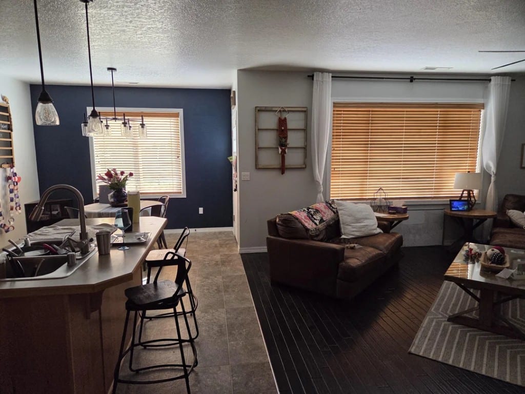Original Living Room photo before the Transitional redesign