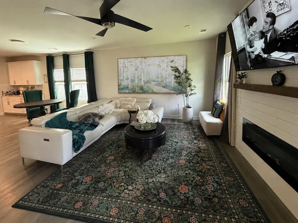 Original Living Room photo before the Transitional redesign
