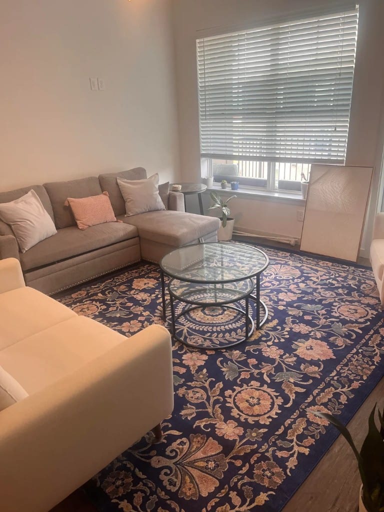 Original Living Room photo before the Transitional redesign
