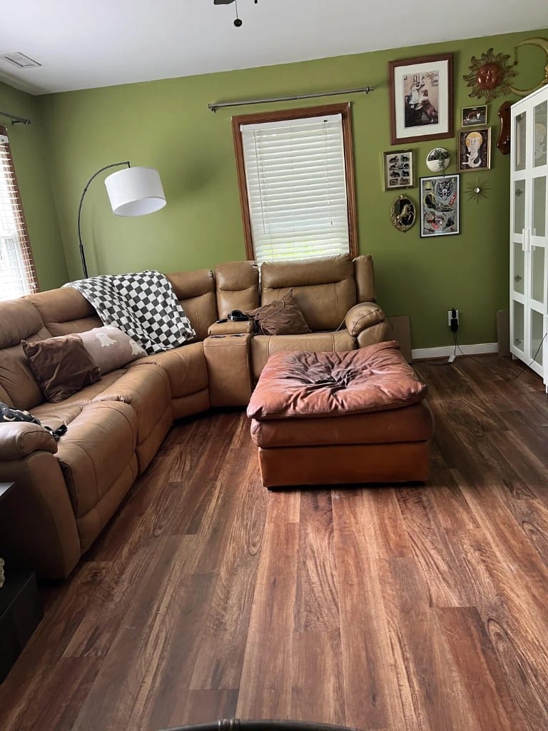 Original Living Room photo before the Eclectic redesign
