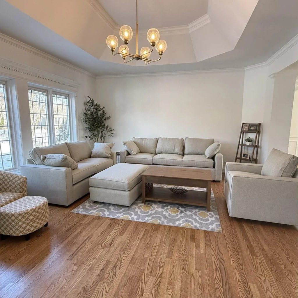 Original Living Room photo before the Transitional redesign
