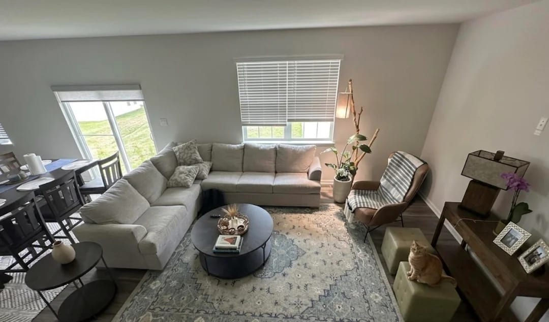 Original Living Room photo before the Transitional redesign