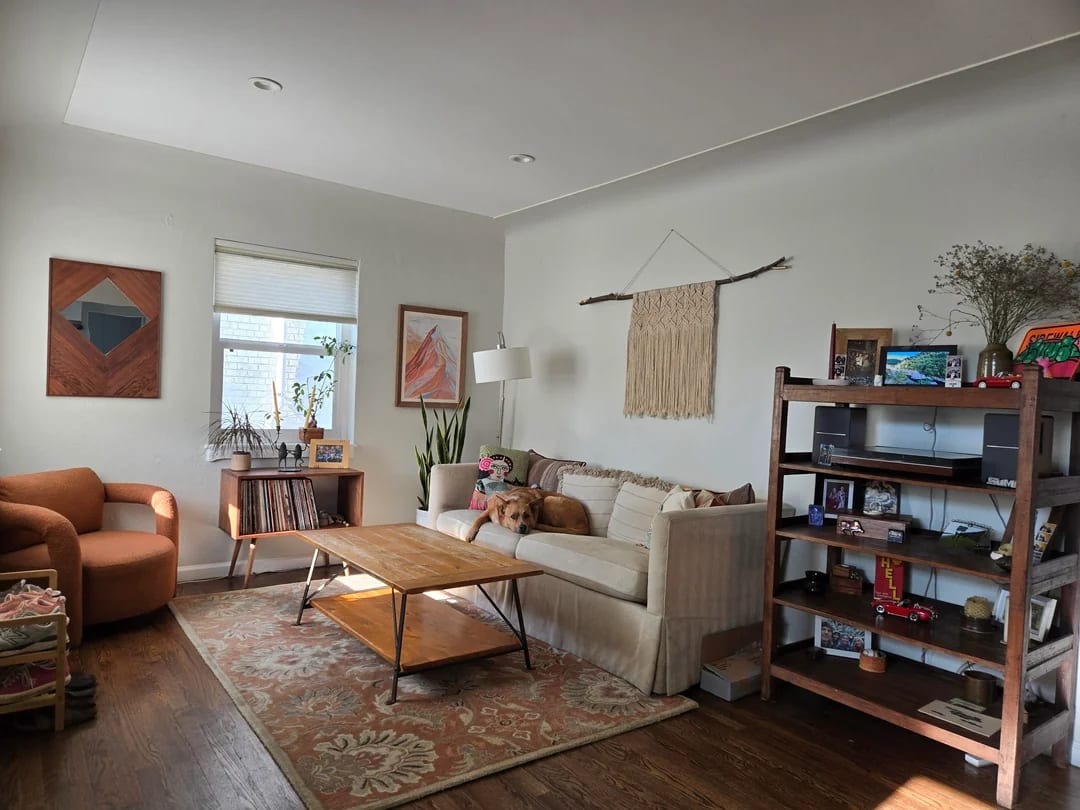 Original Living Room photo before the Eclectic redesign