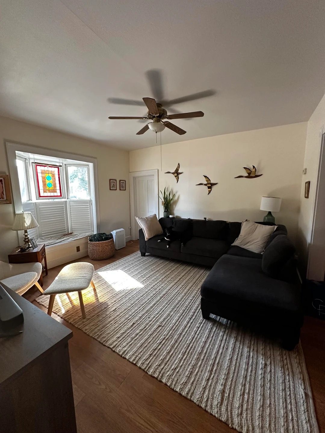 Original Living Room photo before the Transitional redesign