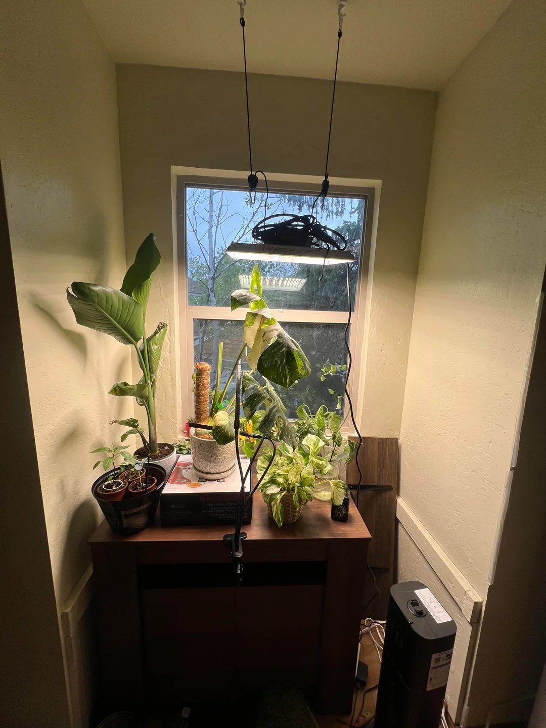 Original Kitchen photo before the Biophilic redesign