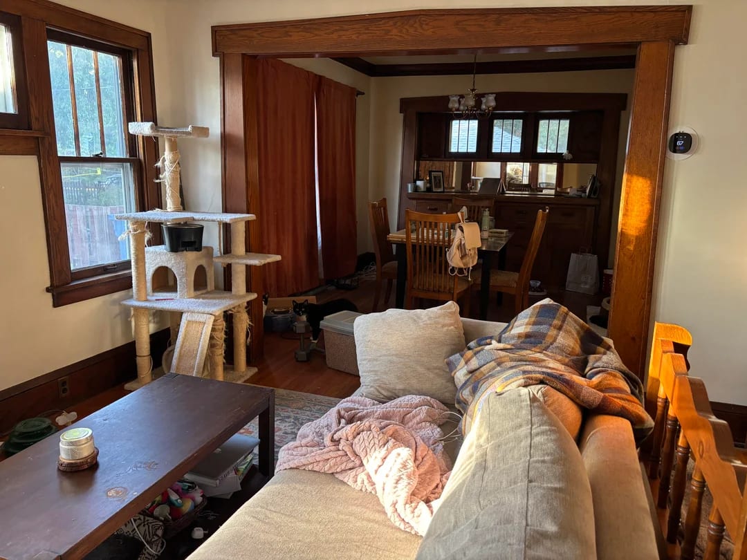 Original Living Room photo before the Transitional redesign