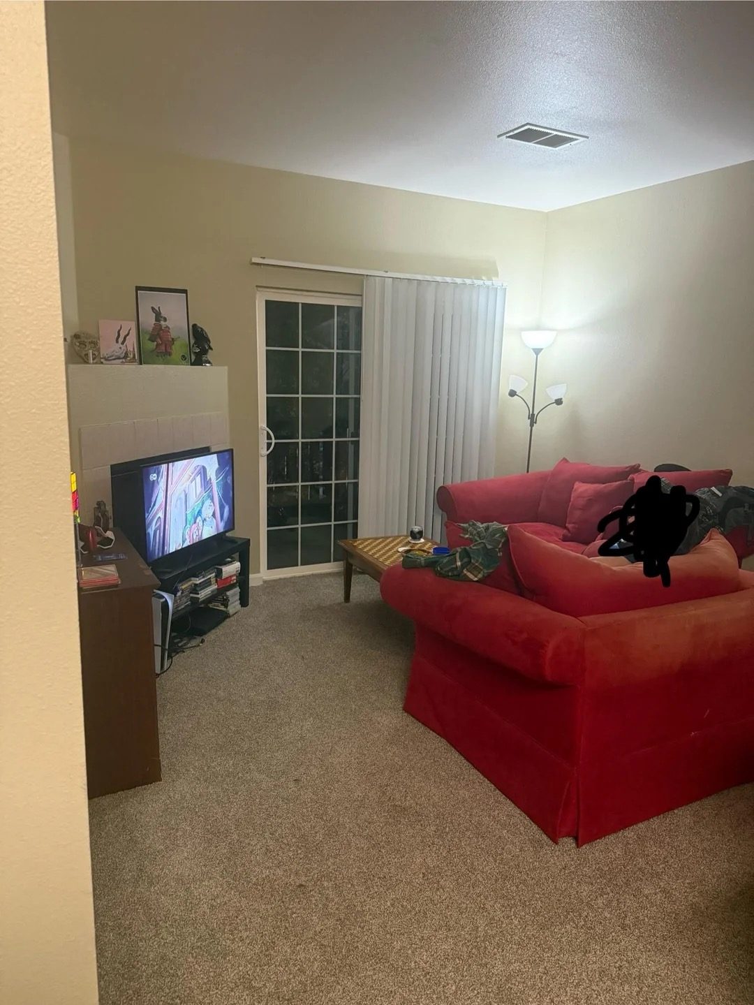 Original Living Room photo before the Contemporary redesign