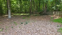 Original Backyard before Biophilic AI redesign