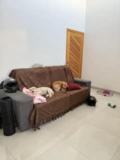 Original Living Room before Contemporary AI redesign