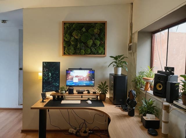 Biophilic Gaming Room design idea from a real photo