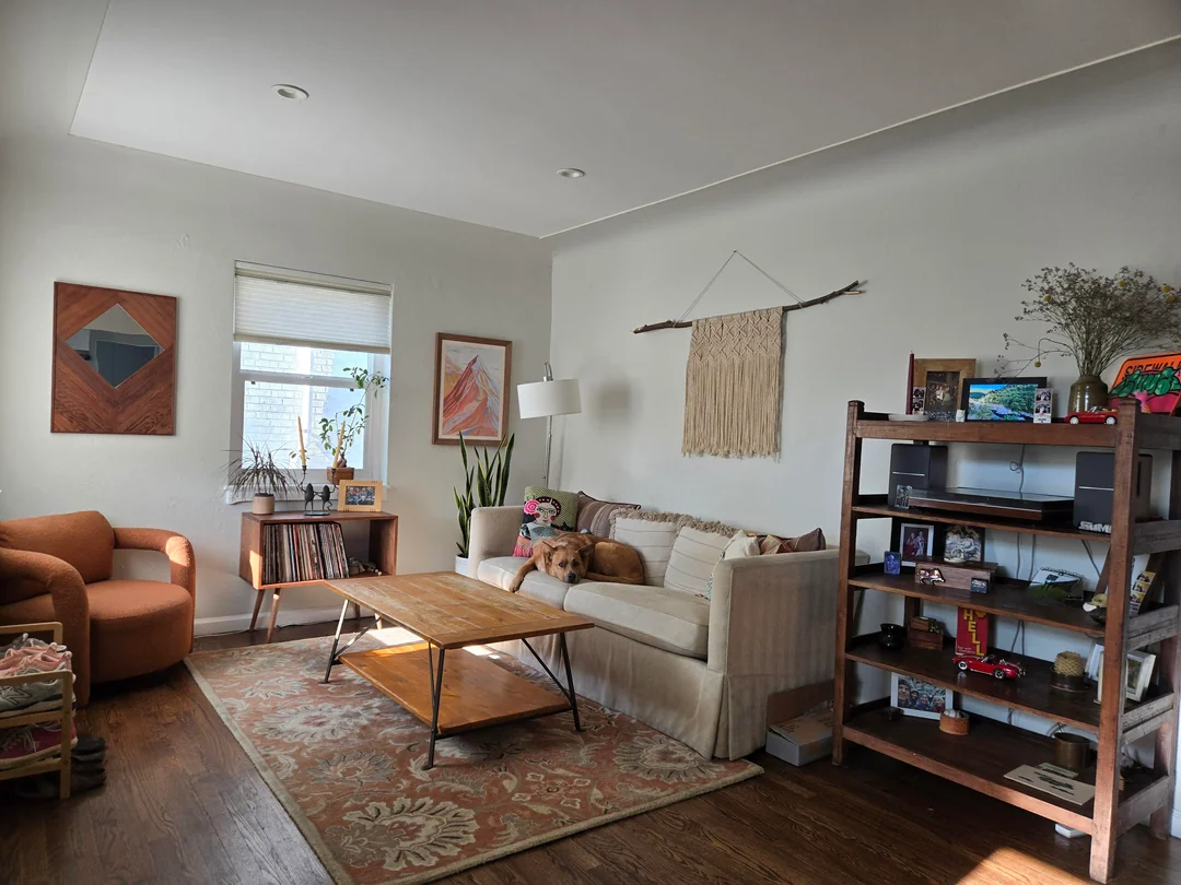 Original Living Room photo before Eclectic remodel plan